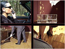 Story Picture