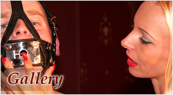 Story Picture